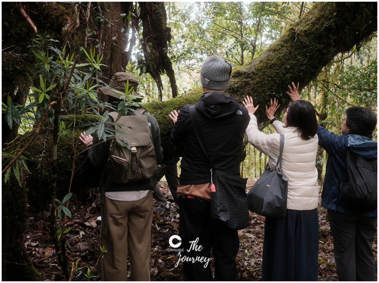 Bhutan Gallery 13